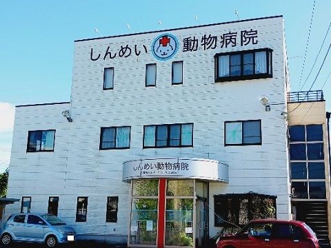 近くのしんめい動物病院まで550m（徒歩7分）