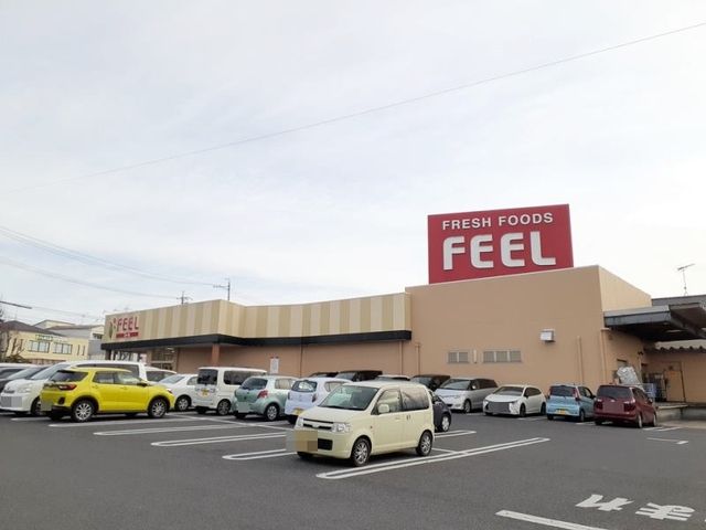 近くのフィール 岡崎柱町店まで600m（徒歩8分）