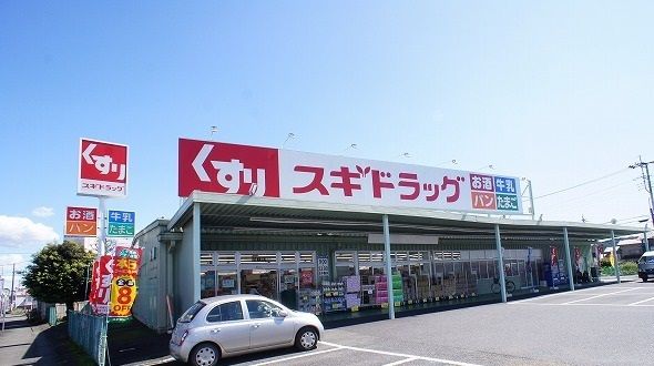 近くのスギドラッグ 飯能店まで1,100m（徒歩14分）