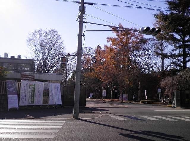 近くの大学・短大まで800m（徒歩10分）