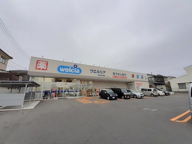 近くのウエルシア新潟寺尾店まで300m(徒歩4分)