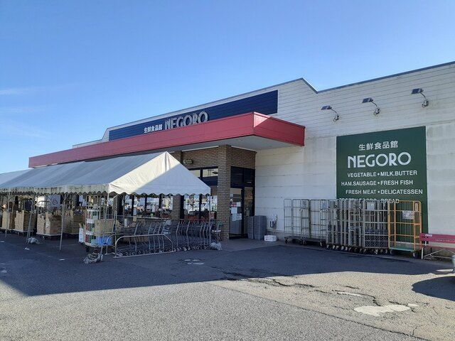 近くのスーパーネゴロ岩出店様まで1,000m(徒歩13分)
