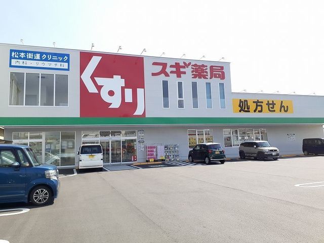 近くのドラッグストアまで1,100m（徒歩14分）