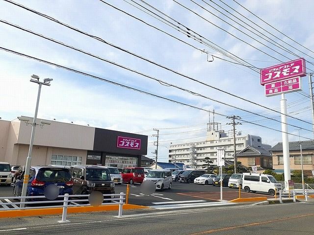 近くのドラッグストア コスモス 姉崎まで1,000m（徒歩13分）