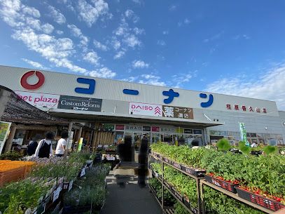 近くのコーナン橿原香久山店まで1,900m（徒歩24分）