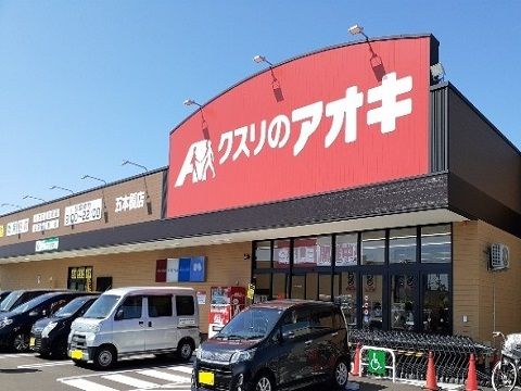 近くのドラッグストアまで750m（徒歩10分）