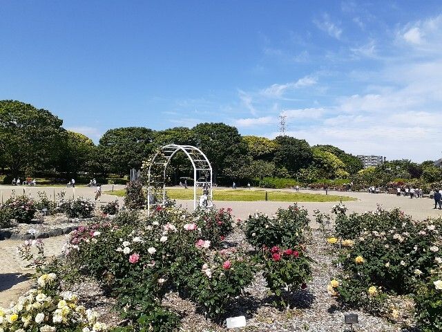 近くの富士市中央公園まで1,000m(徒歩13分)