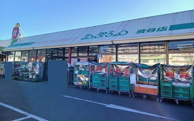 近くのスーパーまで750m（徒歩10分）