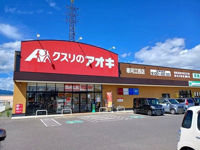 近くのクスリのアオキまで600m（徒歩8分）