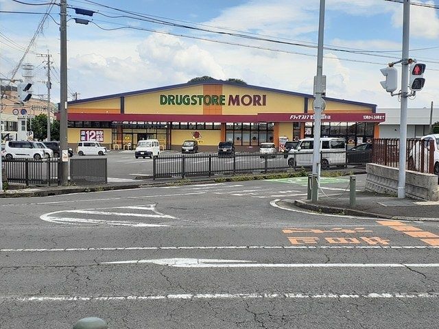 近くのドラッグストアモリ島原店まで1,706m（徒歩22分）