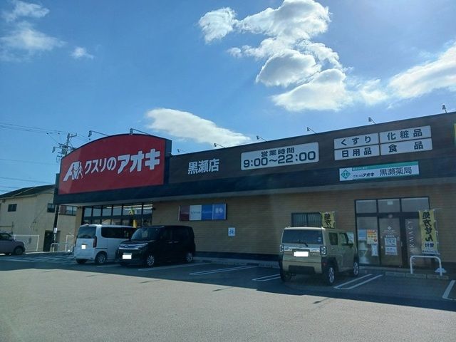 近くのクスリのアオキまで300m(徒歩4分)