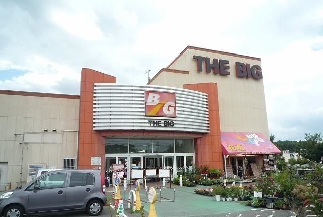 近くのザ・ビッグ庄原店まで2,300m（徒歩29分）