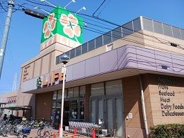 近くのライフまで300m（徒歩4分）