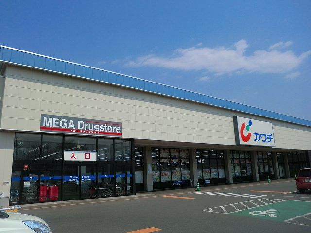 近くのカワチ薬品沼田東店まで1,100m（徒歩14分）