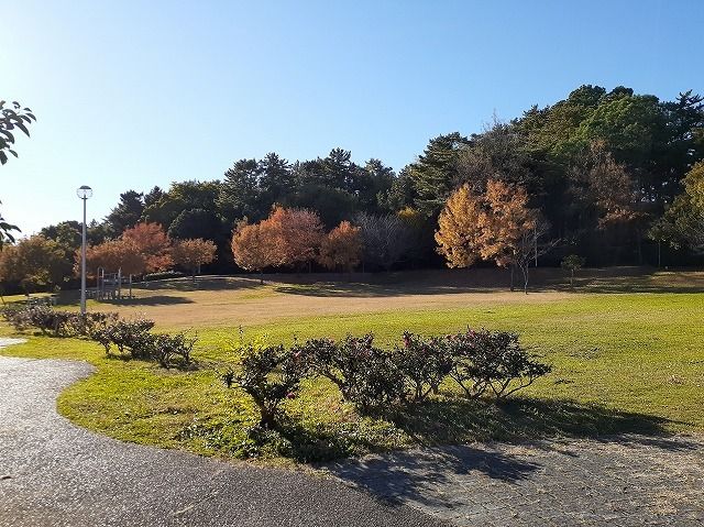 近くの四ツ池公園まで600m（徒歩8分）