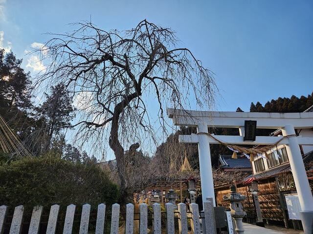 近くの金蛇水神社まで1,300m（徒歩17分）