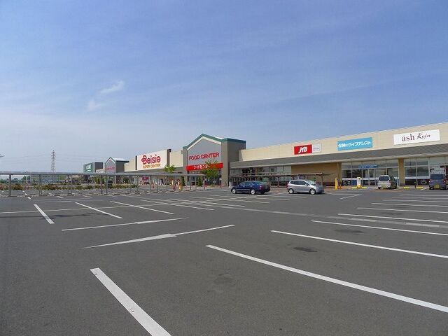 近くのベイシアおおたモール店まで850m（徒歩11分）