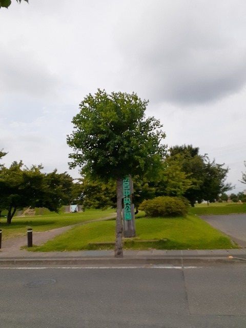 近くの公園まで550m（徒歩7分）