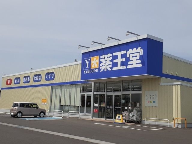 近くのドラッグストアまで750m（徒歩10分）