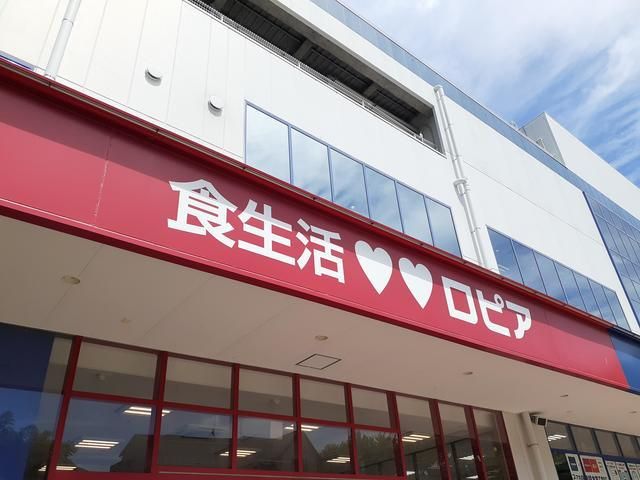 近くのロピア川崎水沢店まで500m（徒歩7分）