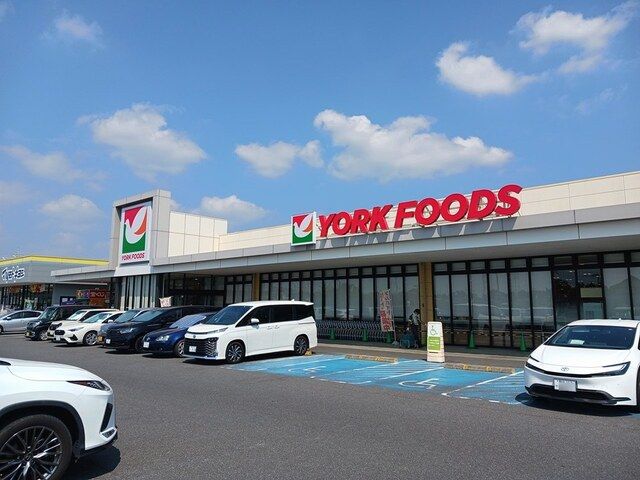 近くのヨークフーズ柏の葉公園店まで759m（徒歩10分）