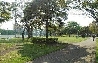 近くの大岡公園まで900m（徒歩12分）