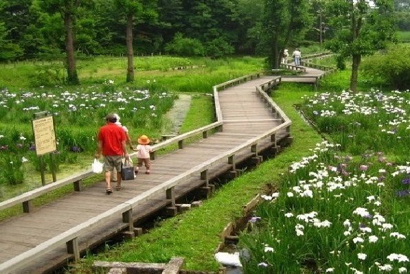 近くの神代植物公園まで89m(徒歩2分)