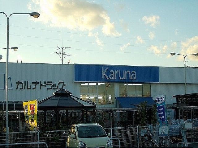 近くのドラッグストアまで850m（徒歩11分）