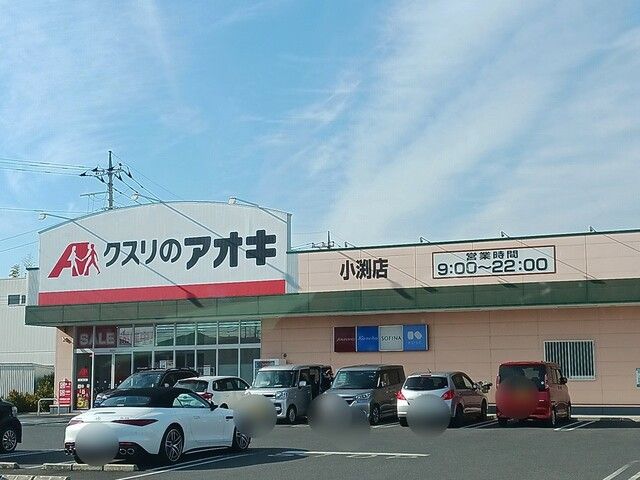近くのクスリのアオキ小渕店まで1,000m（徒歩13分）