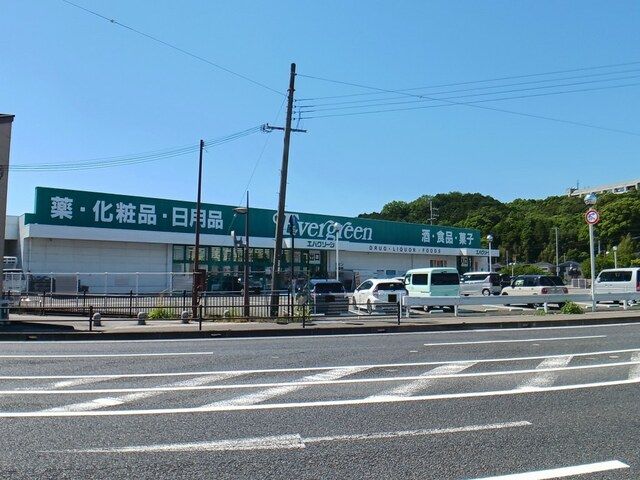 近くのエバグリーン海南店様まで800m（徒歩10分）
