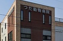 近くのつだ動物病院まで710m（徒歩9分）