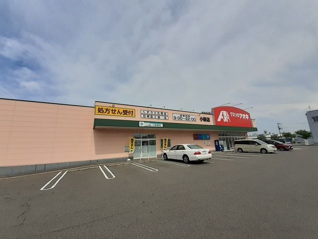 近くのクスリのアオキ小新店まで350m(徒歩5分)