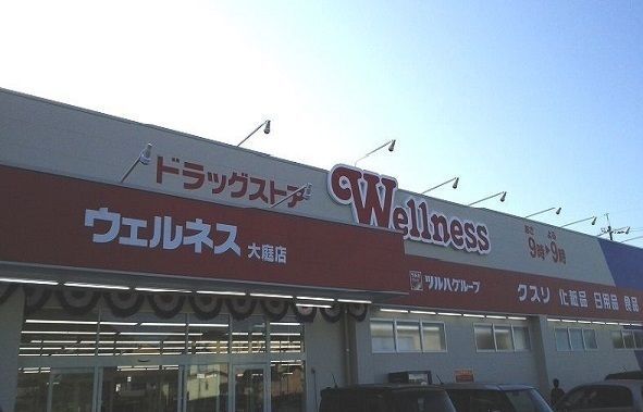 近くのウェルネス大庭店まで1,000m（徒歩13分）