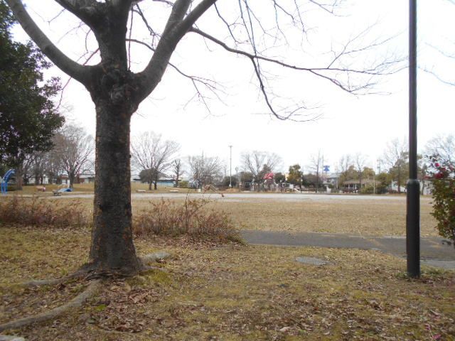 近くの島南公園まで350m（徒歩5分）