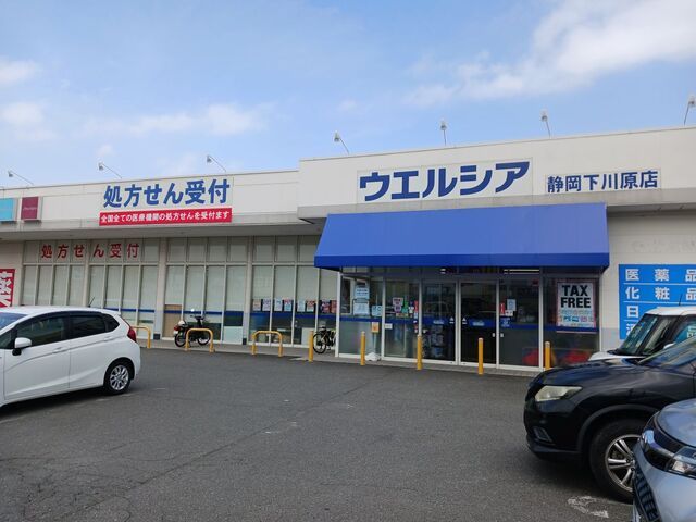 近くのウエルシア静岡下川原店まで500m（徒歩7分）