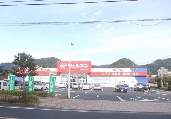 近くのウェルネス 大田中央店まで260m（徒歩4分）