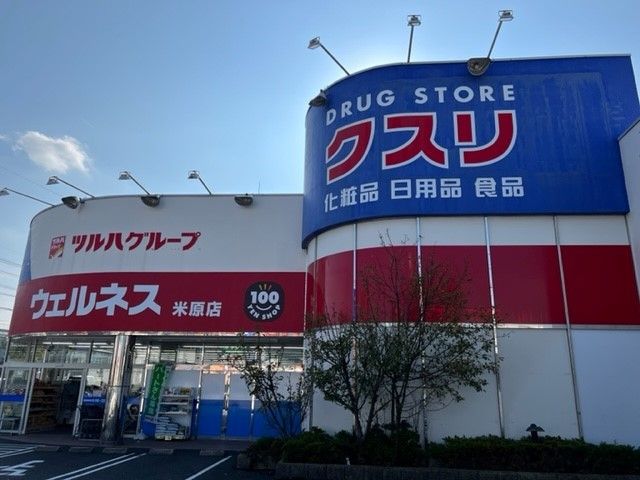 近くのウェルネス米原店まで700m(徒歩9分)