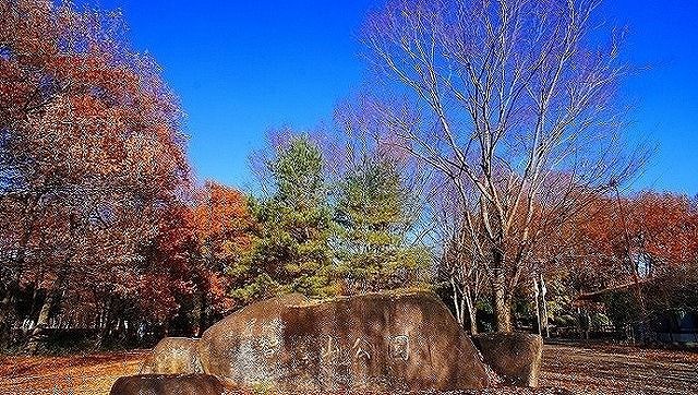 近くの智光山公園まで1,600m(徒歩20分)