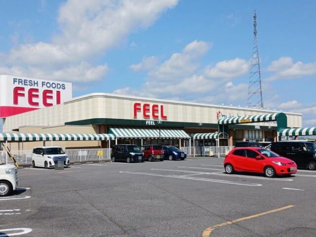 近くのフィール 岡崎大和店まで950m（徒歩12分）