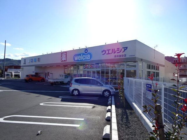 近くのウエルシア　金谷店まで700m（徒歩9分）