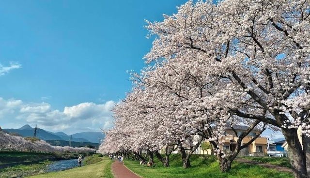 近くの潤井川河川敷まで1,000m(徒歩13分)