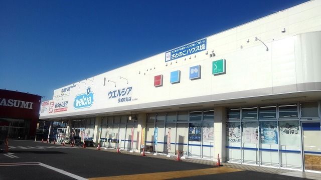近くのウエルシア茨城境町店まで300m（徒歩4分）