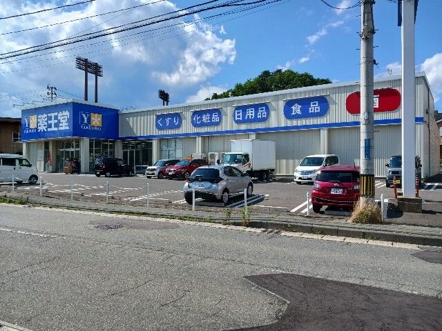 近くの薬王堂盛岡三ツ割店まで1,170m(徒歩15分)