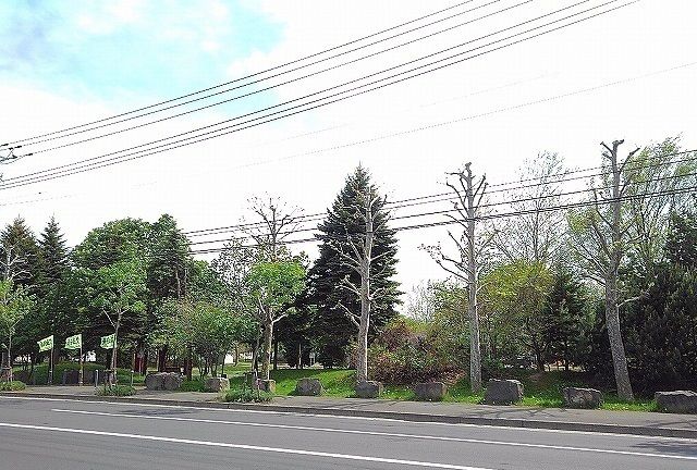 近くの苗穂グリーン公園まで210m(徒歩3分)