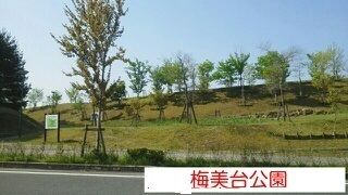 近くの梅美台公園まで2,000m(徒歩25分)