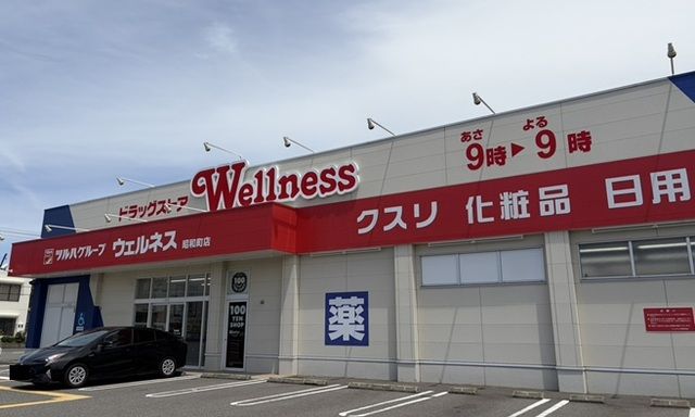 近くのウェルネス昭和町店まで850m(徒歩11分)