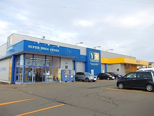 近くの薬王堂秋田茨島店まで888m(徒歩12分)