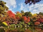 近くのもみじ公園まで450m（徒歩6分）