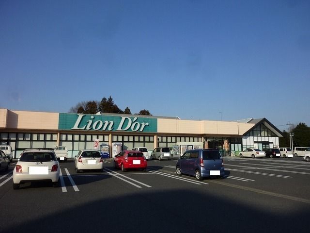 近くのリオン・ドール高根沢店まで900m(徒歩12分)