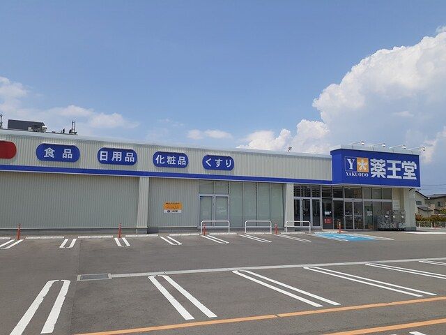 近くの薬王堂まで350m(徒歩5分)